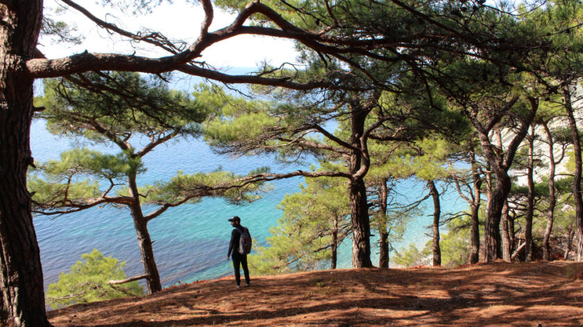 un paysage de Corse